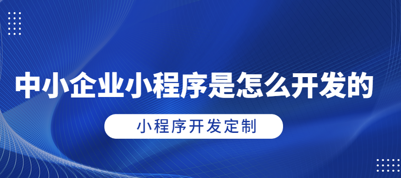 指尖上的商機！武榮CMS企業(yè)小程序開發(fā)，讓您的業(yè)務(wù)騰飛！