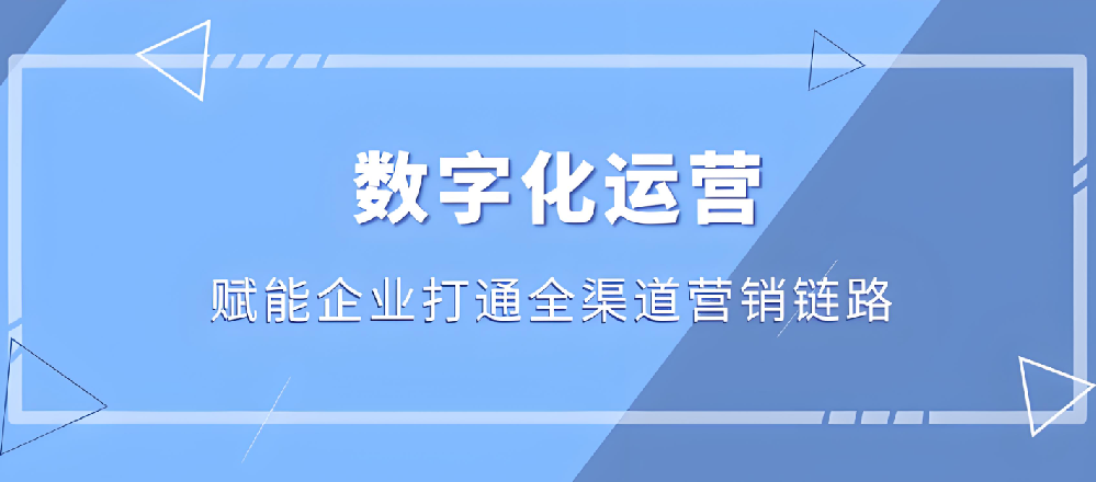武榮網(wǎng)絡(luò)：塑造企業(yè)數(shù)字形象，提升網(wǎng)絡(luò)營(yíng)銷效益
