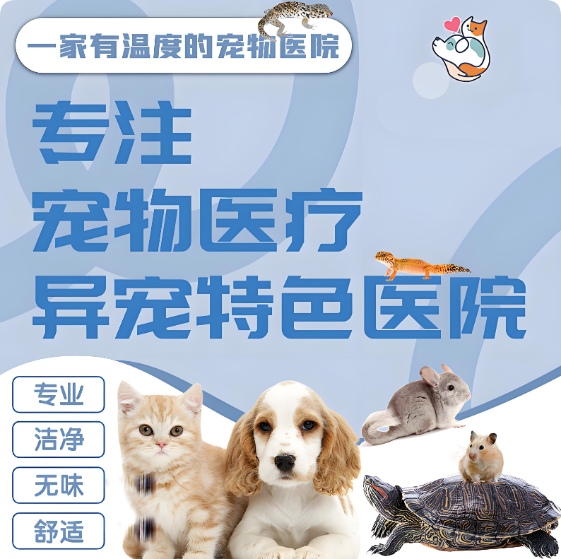 巧用美團(tuán)/大眾點評“問大家”，讓寵主放心選擇你的醫(yī)院