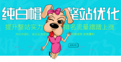 純白帽整站優(yōu)化，提升整站實力，價格親民效果好